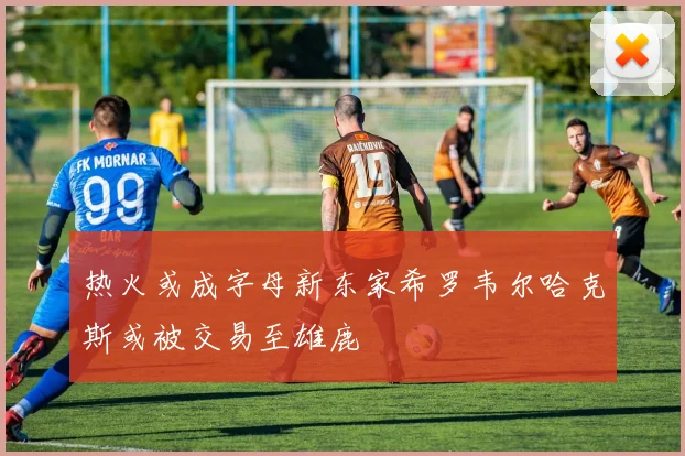 热火或成字母新东家希罗韦尔哈克斯或被交易至雄鹿