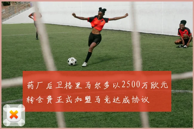药厂后卫格里马尔多以2500万欧元转会费正式加盟马竞达成协议